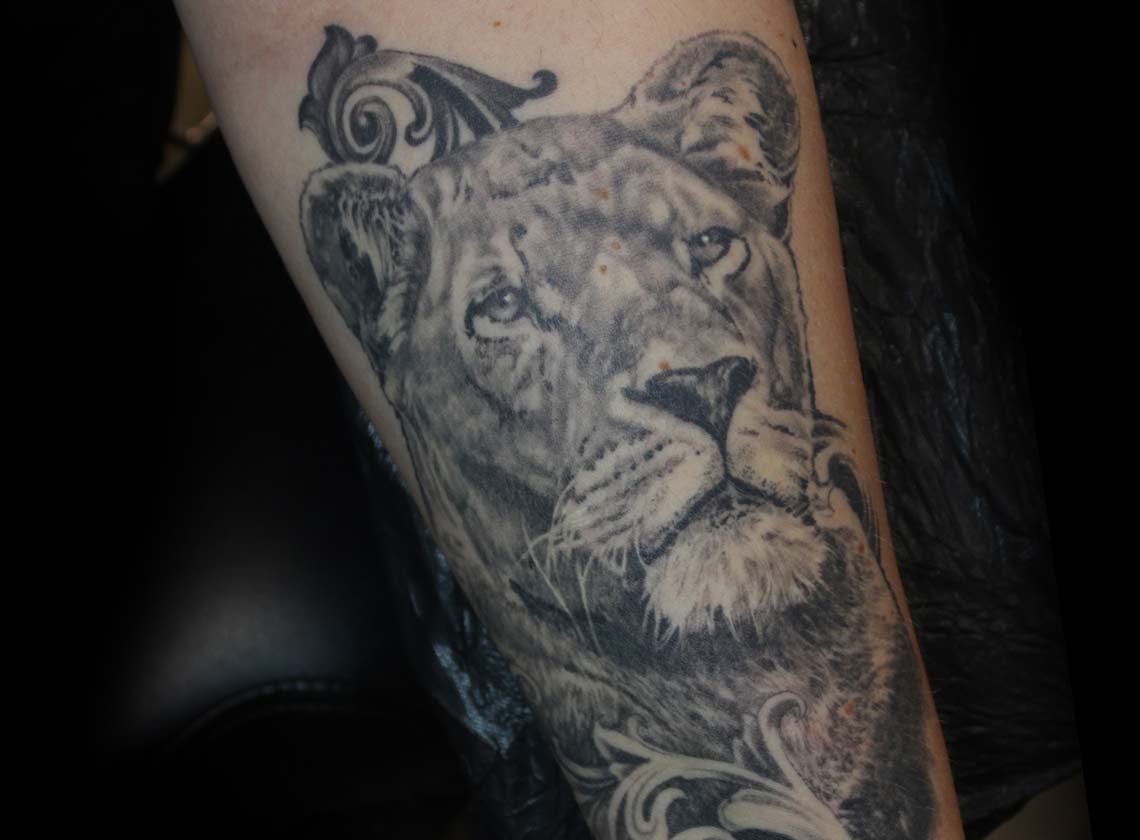 Realistic Lioness Tattoo