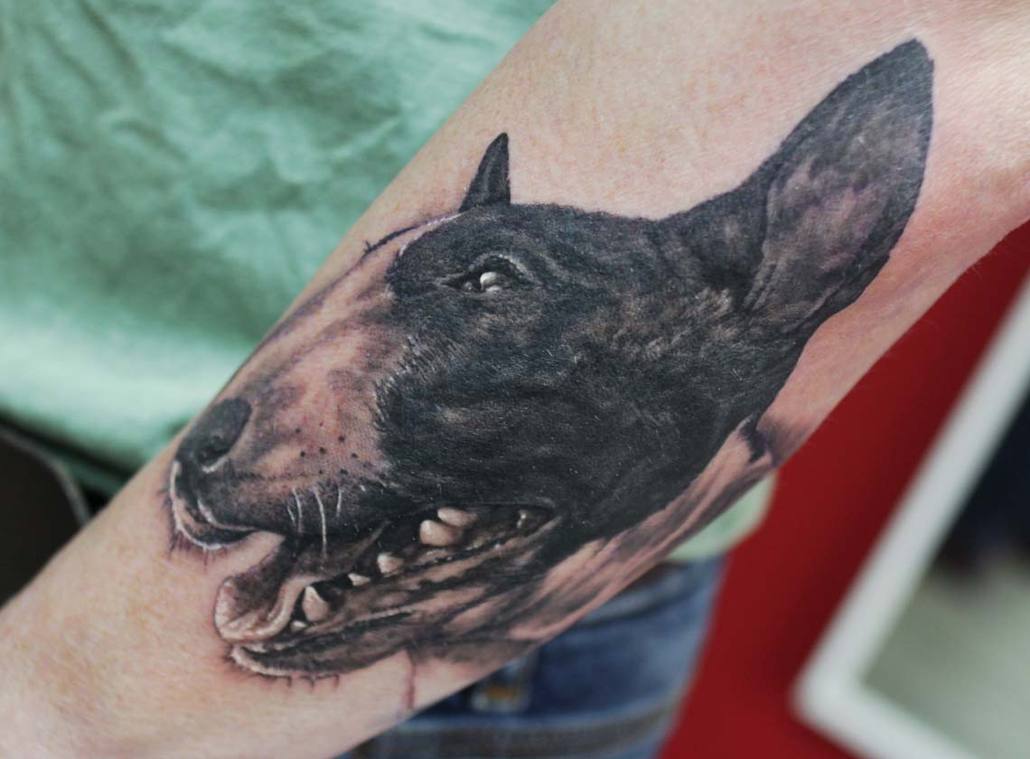 bullterrier dog portrait tattoo